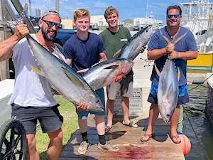 The group chartering at Wanchese Marina caught this nice bunch of yellowfin tuna on Wild Card.
