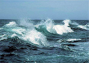 Rough Seas